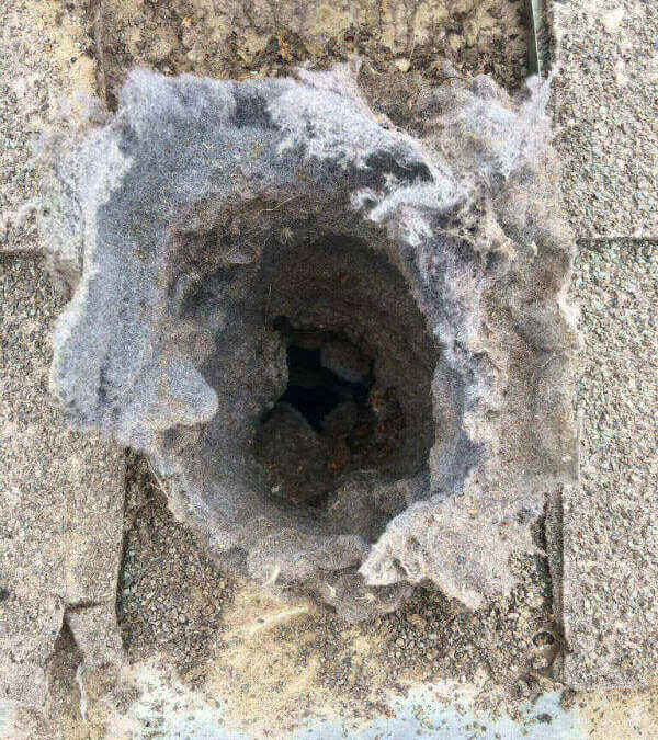 Dryer Vent Cleaning Grand Junction CO The Chimney Doctor