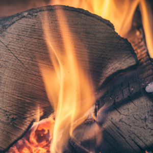 wood logs burning